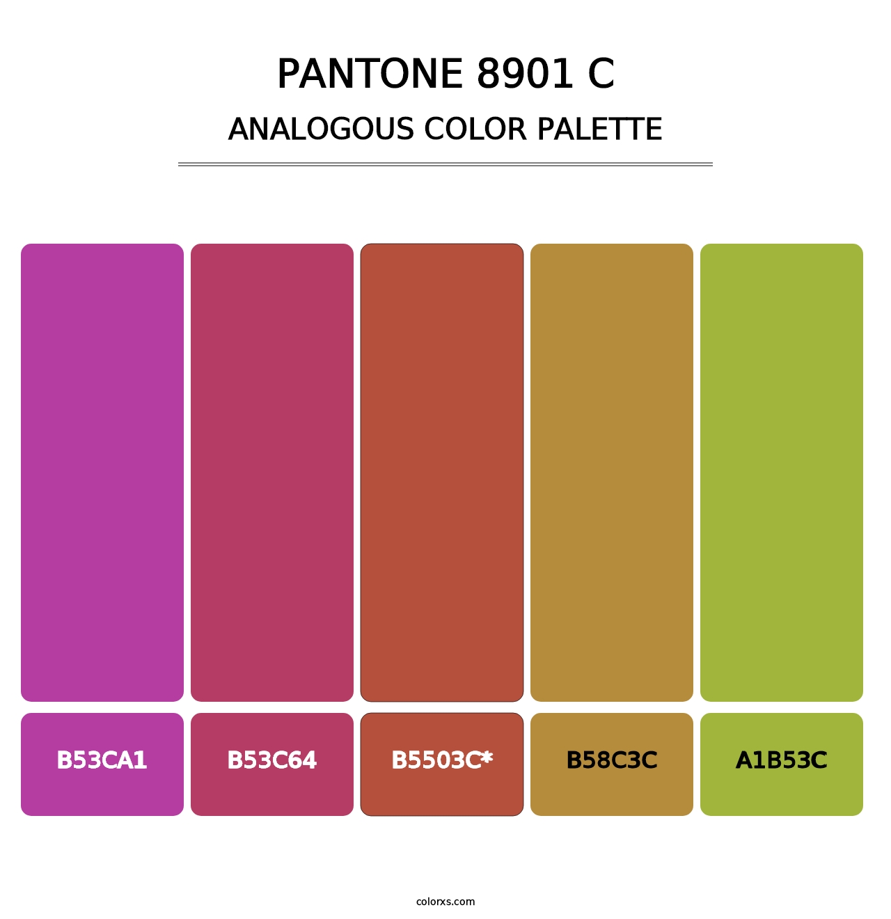 PANTONE 8901 C - Analogous Color Palette