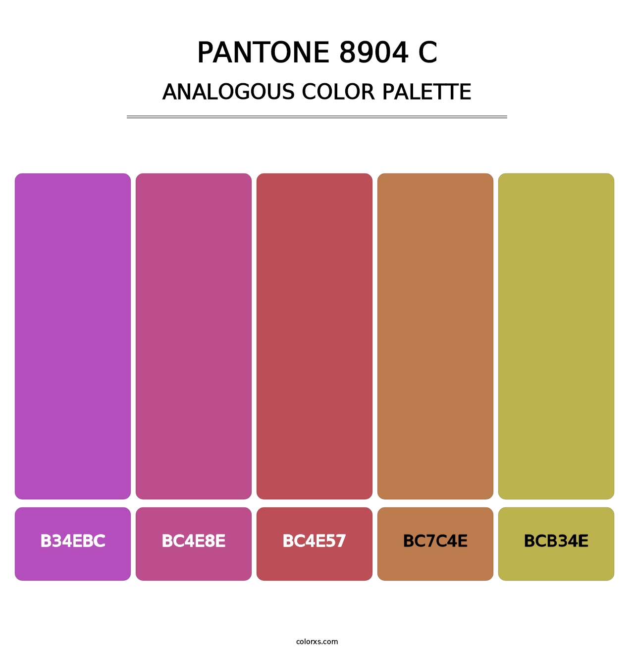 PANTONE 8904 C - Analogous Color Palette