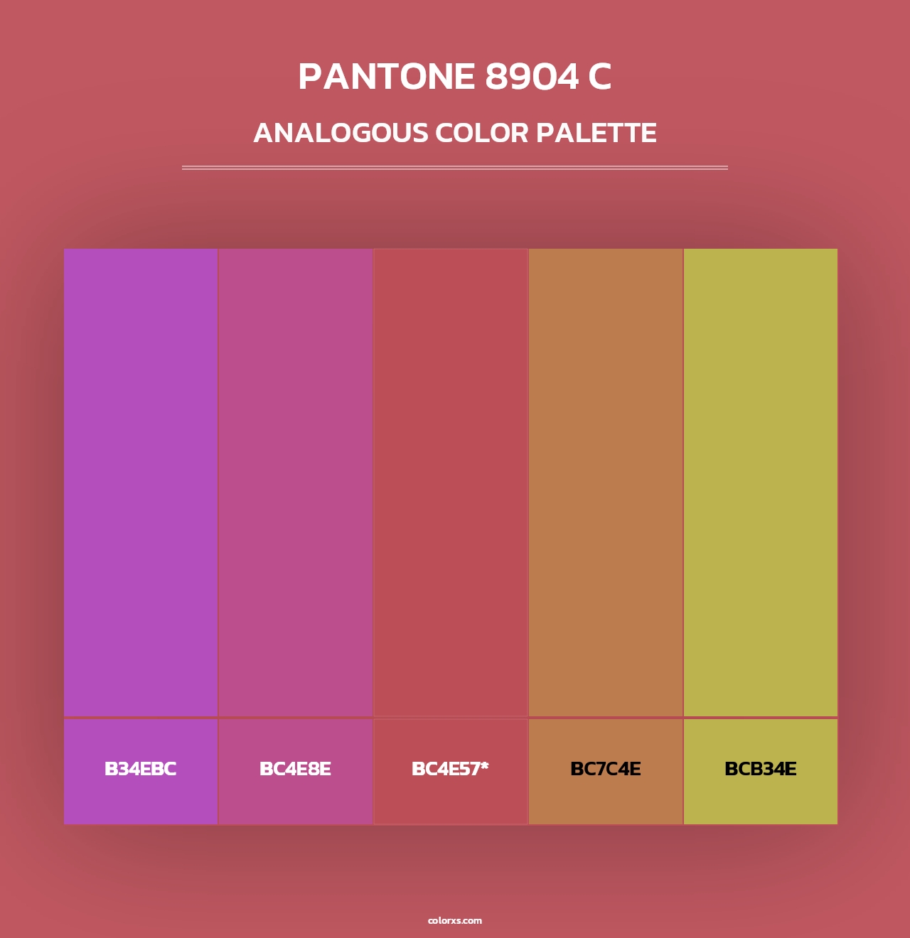 PANTONE 8904 C - Analogous Color Palette