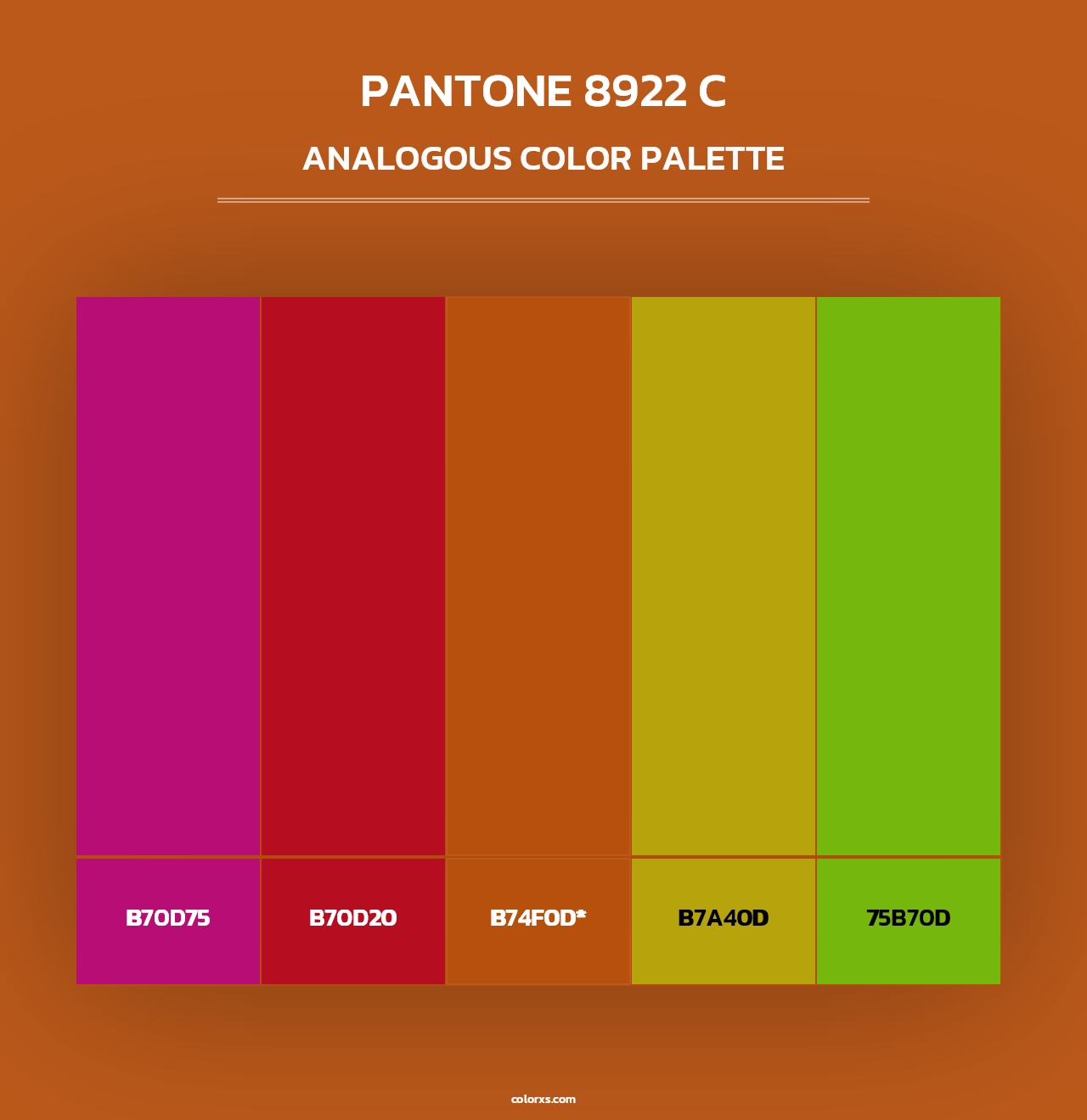 PANTONE 8922 C - Analogous Color Palette
