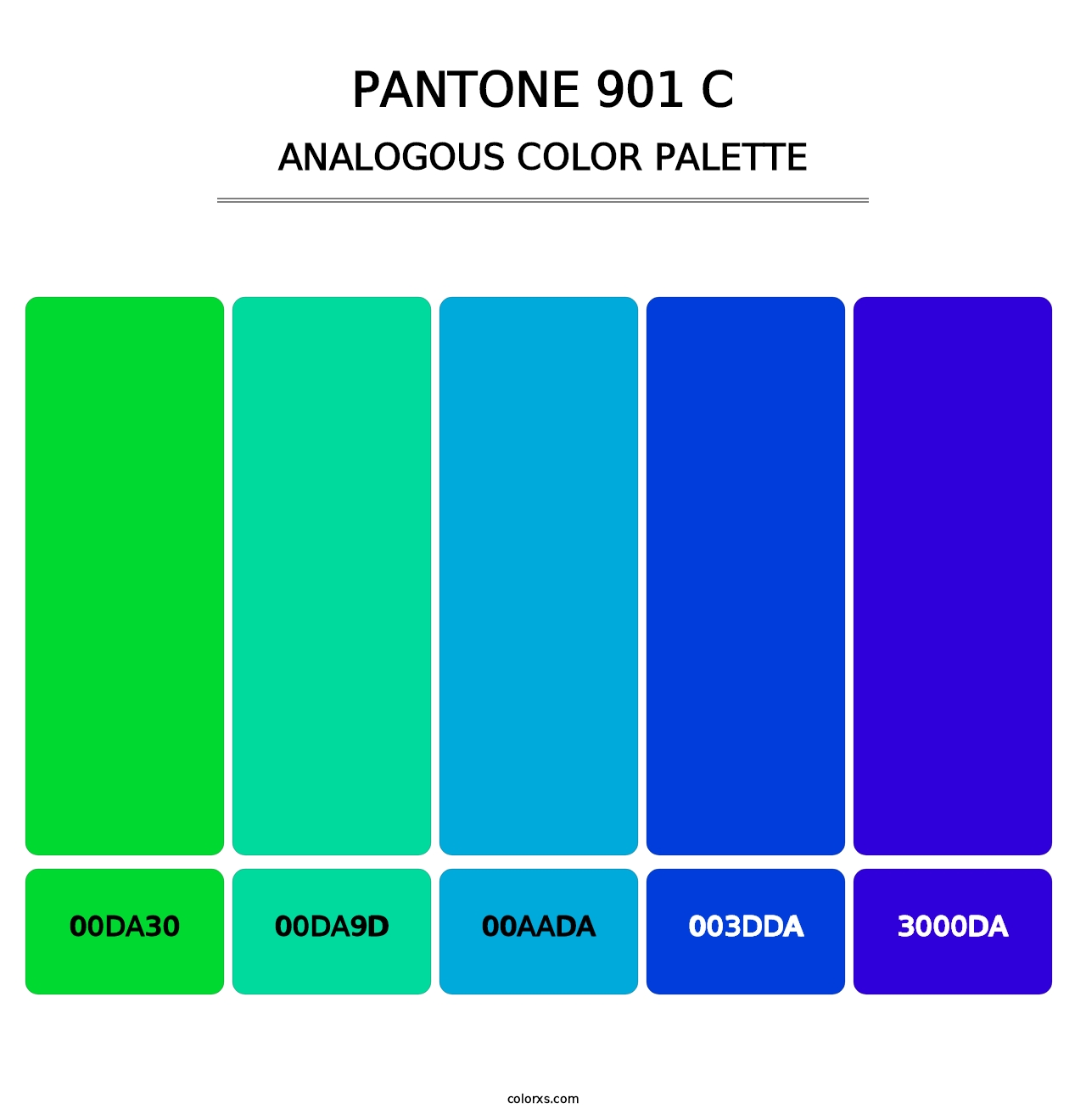 PANTONE 901 C - Analogous Color Palette