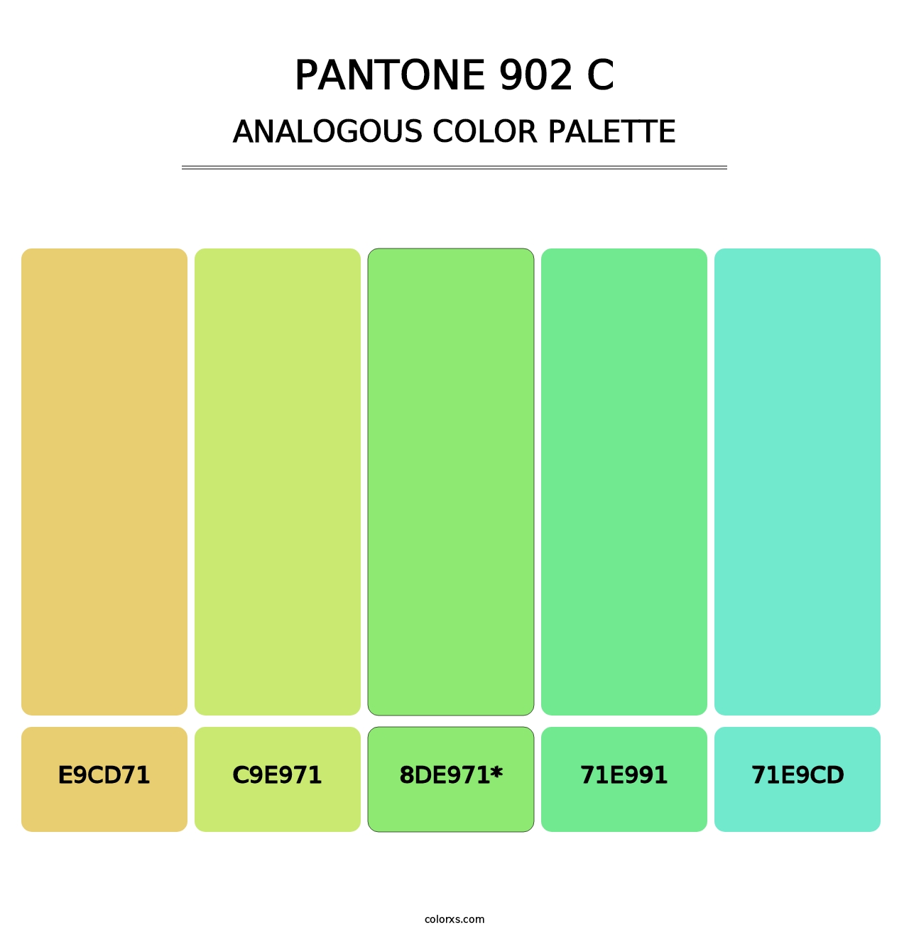 PANTONE 902 C - Analogous Color Palette