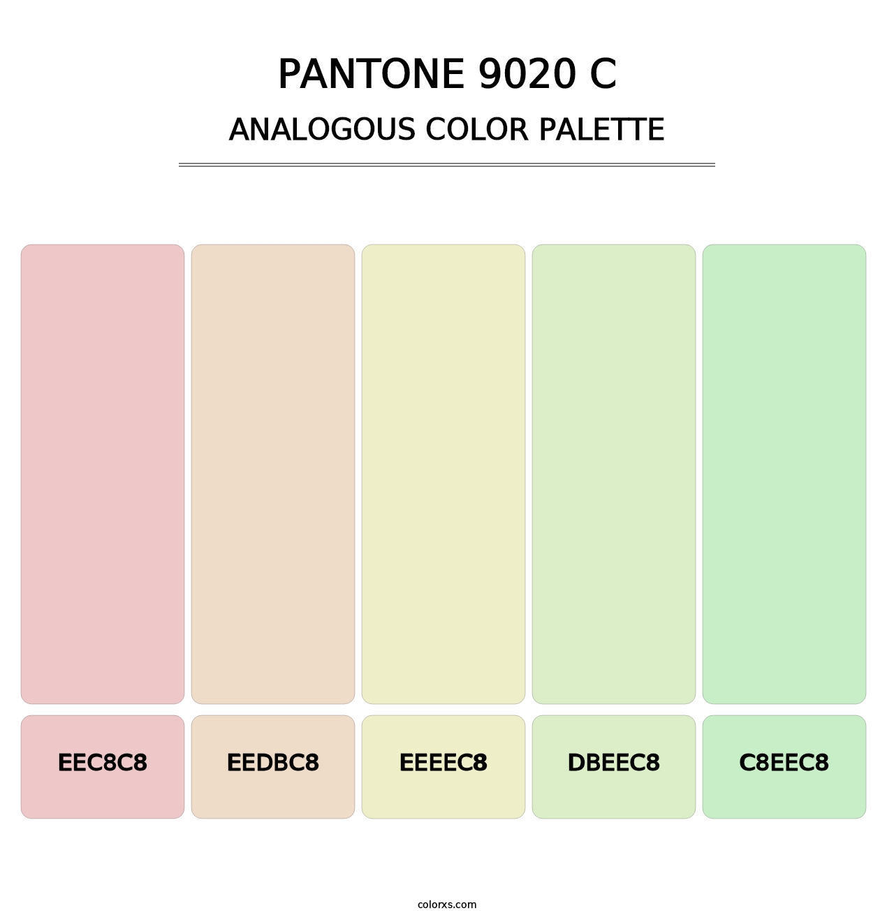 PANTONE 9020 C - Analogous Color Palette