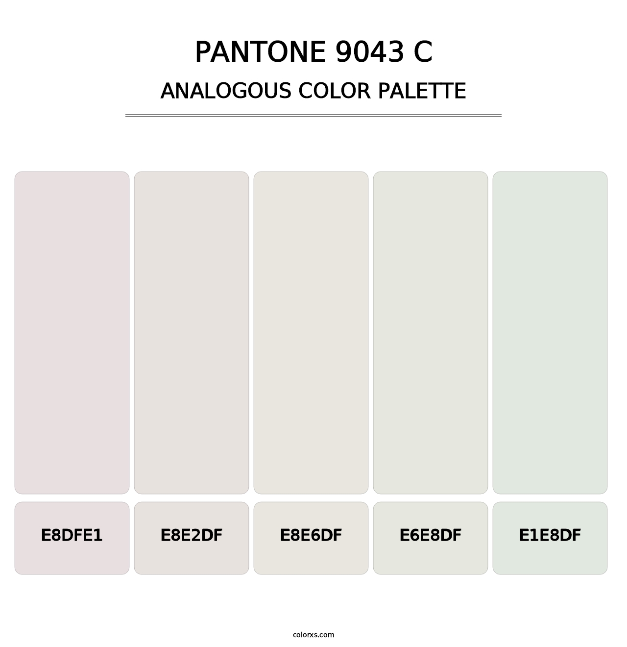 PANTONE 9043 C - Analogous Color Palette