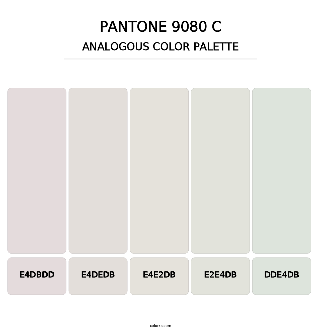 PANTONE 9080 C - Analogous Color Palette