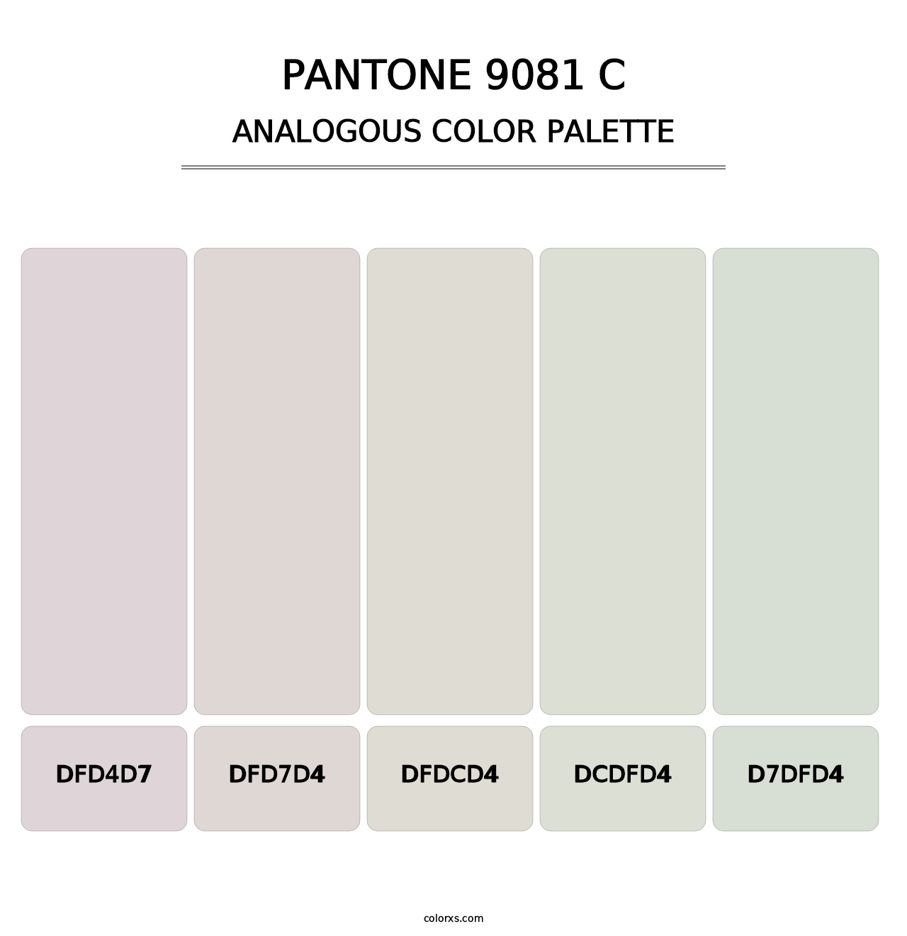 PANTONE 9081 C - Analogous Color Palette