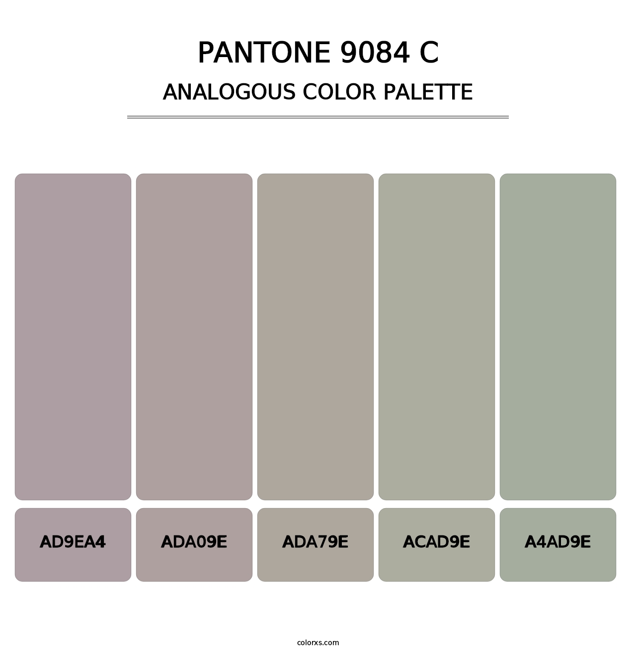 PANTONE 9084 C - Analogous Color Palette