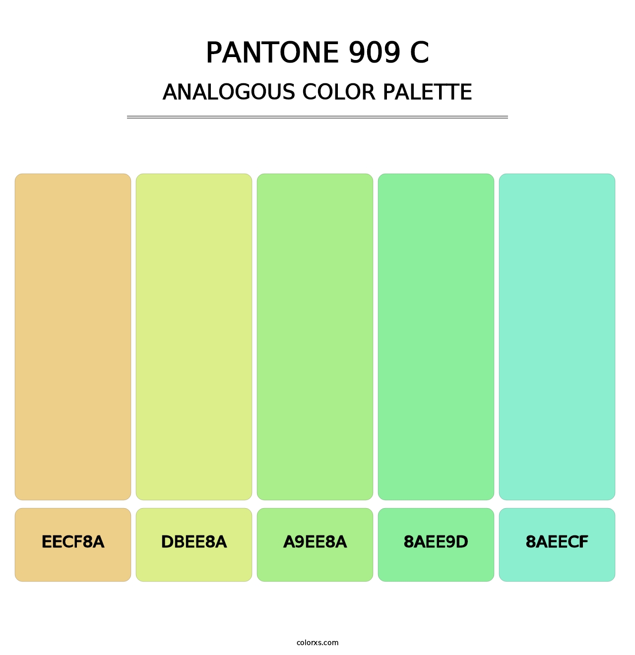 PANTONE 909 C - Analogous Color Palette