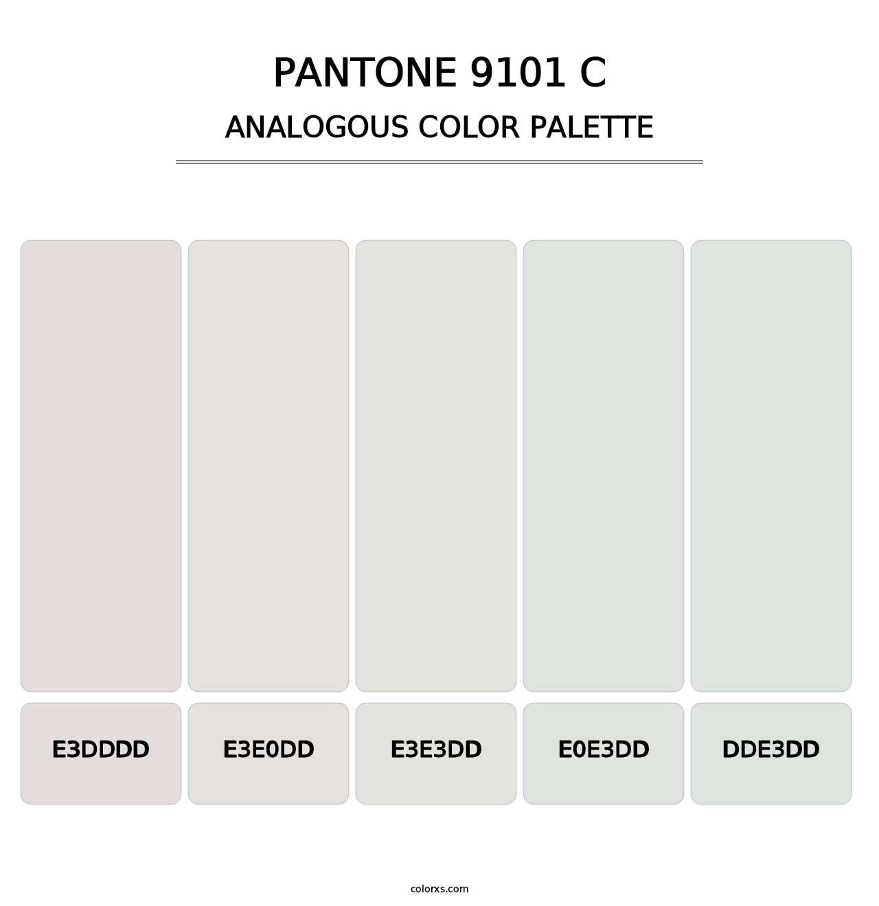 PANTONE 9101 C - Analogous Color Palette
