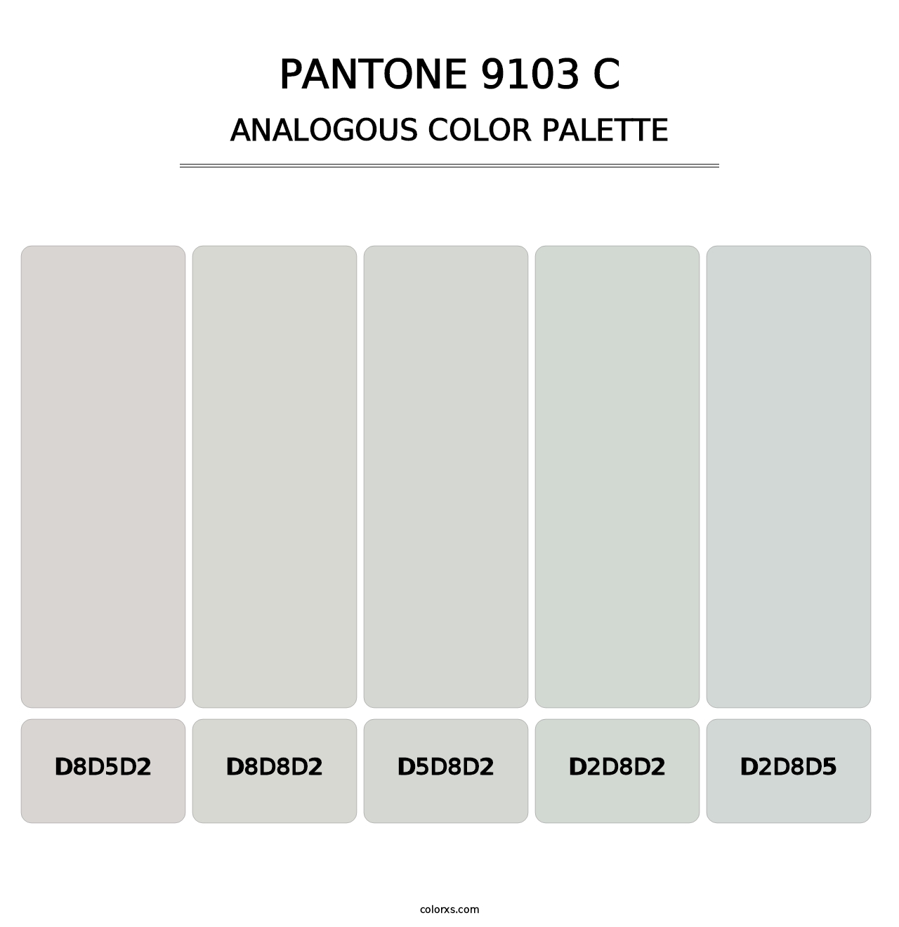 PANTONE 9103 C - Analogous Color Palette