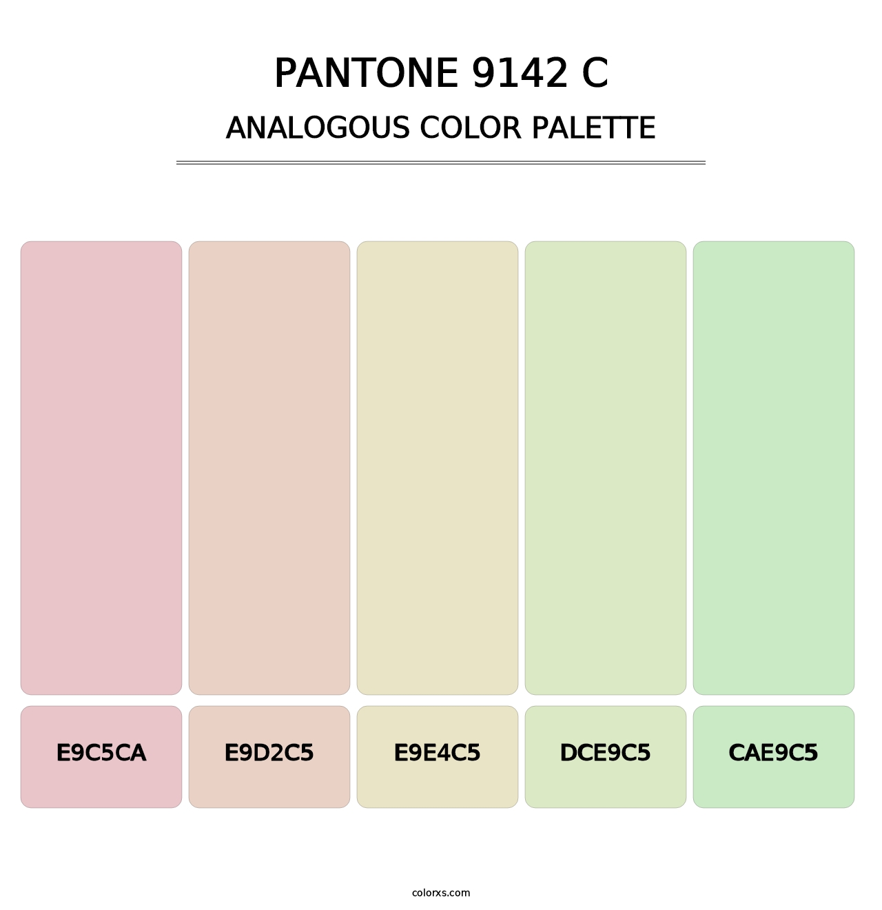 PANTONE 9142 C - Analogous Color Palette