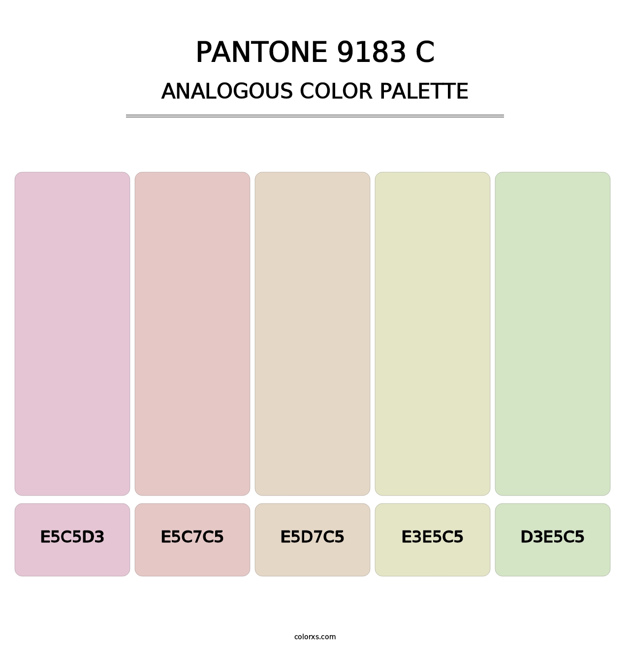 PANTONE 9183 C - Analogous Color Palette