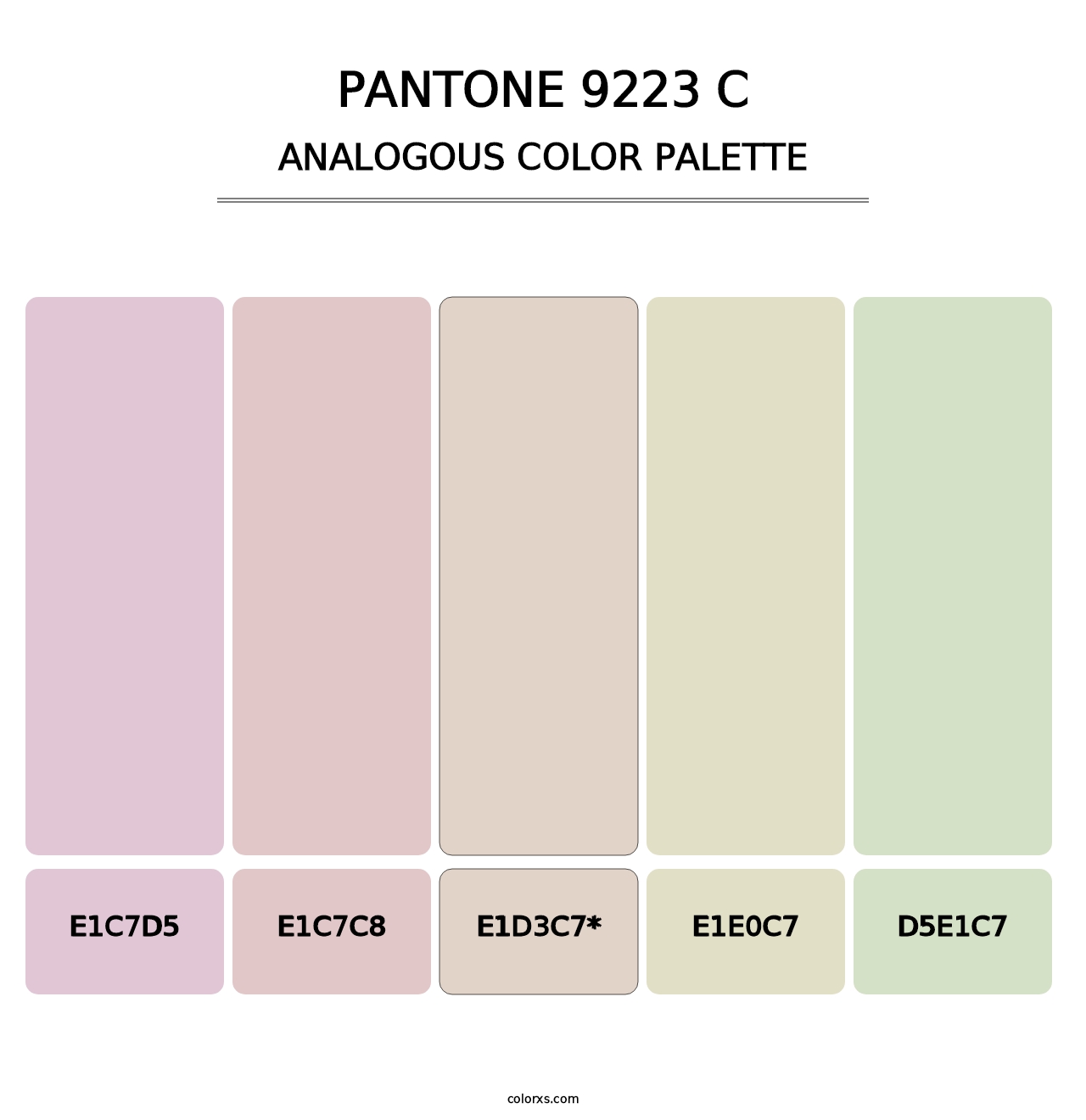 PANTONE 9223 C - Analogous Color Palette