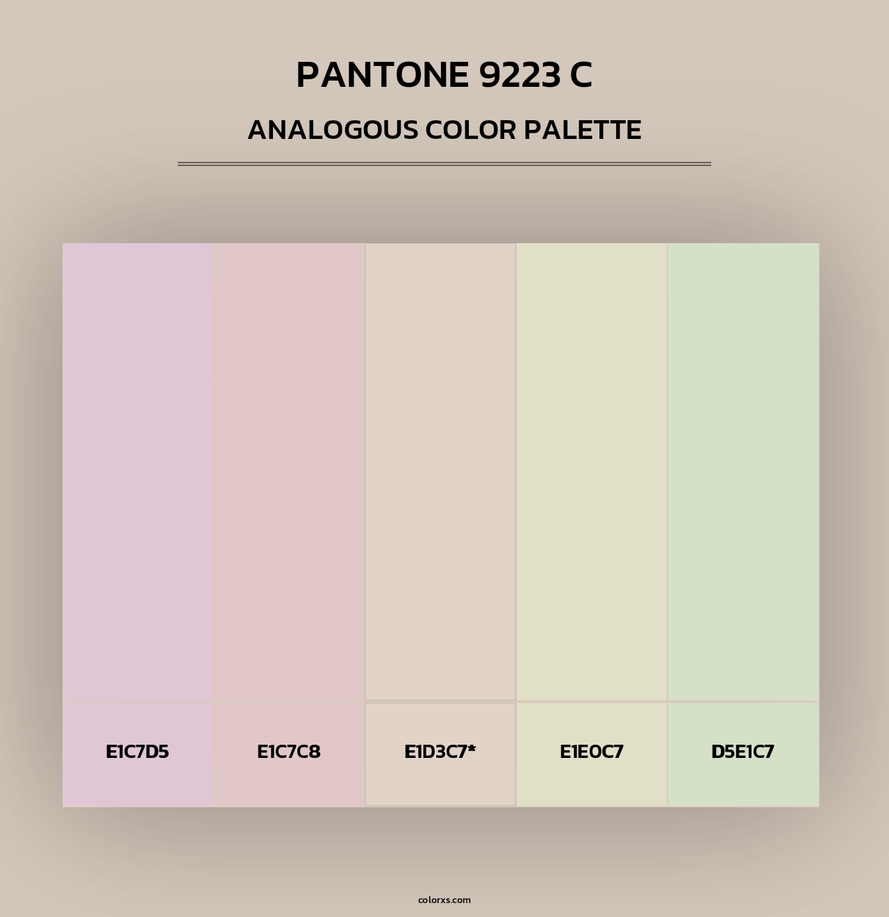 PANTONE 9223 C - Analogous Color Palette