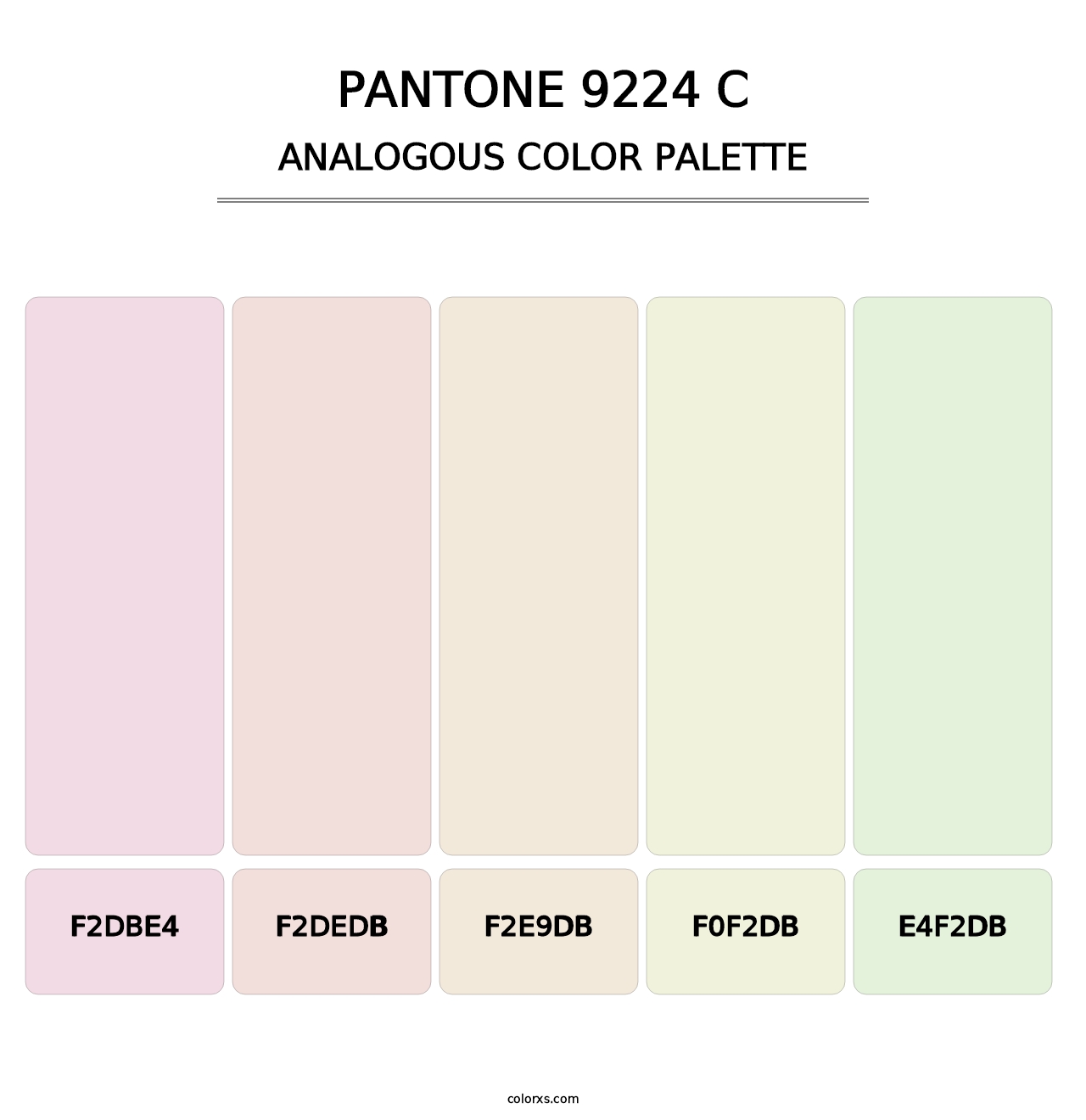 PANTONE 9224 C - Analogous Color Palette