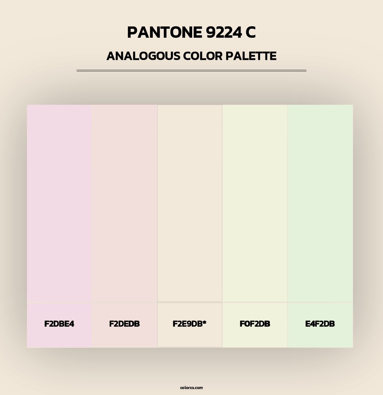 PANTONE 9224 C - Analogous Color Palette