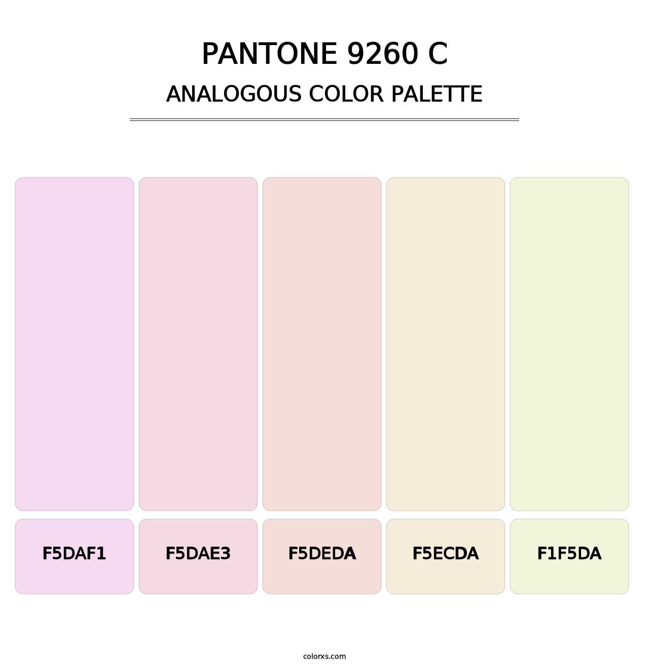 PANTONE 9260 C - Analogous Color Palette