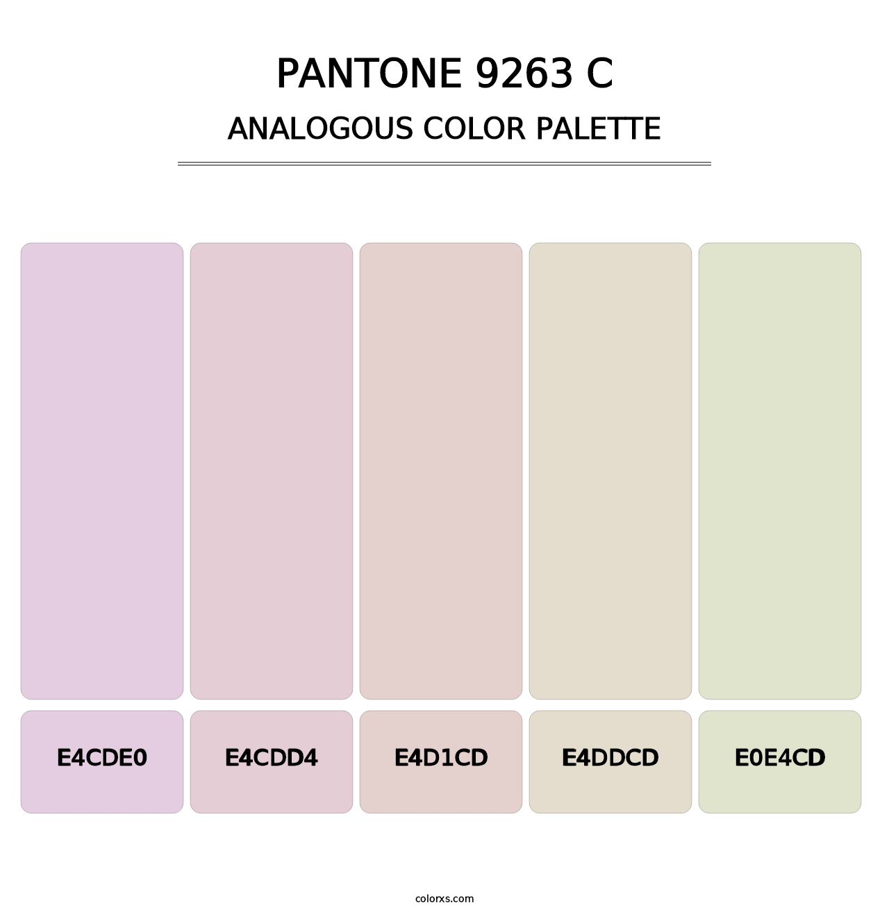 PANTONE 9263 C - Analogous Color Palette