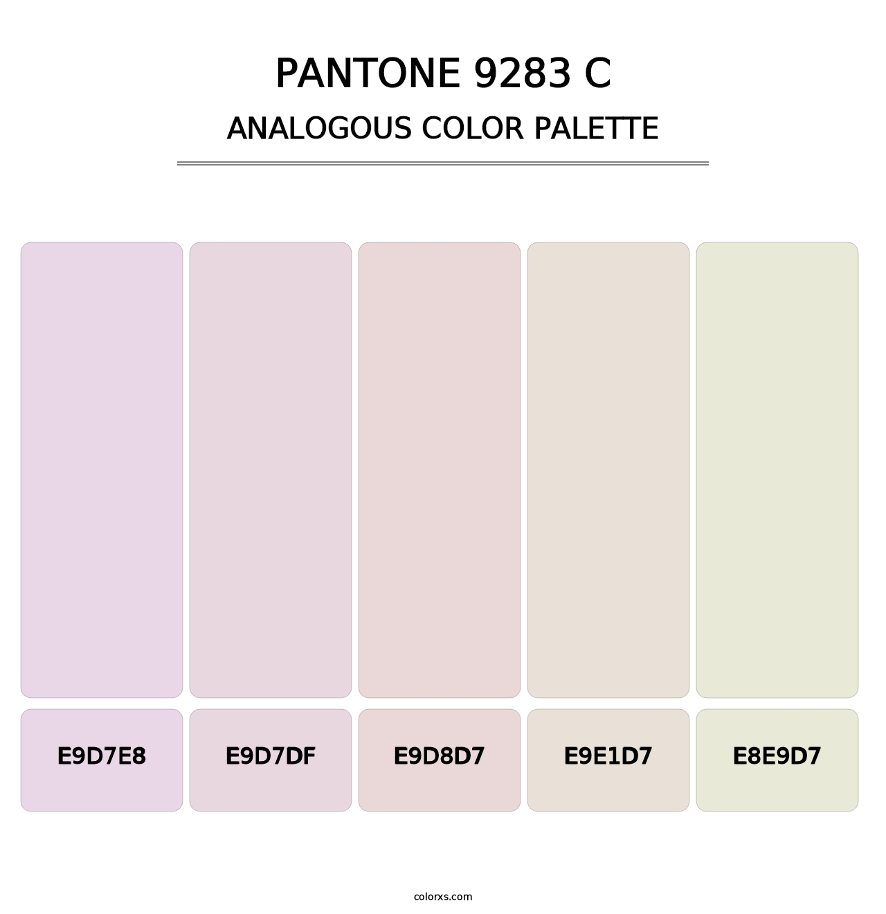 PANTONE 9283 C - Analogous Color Palette