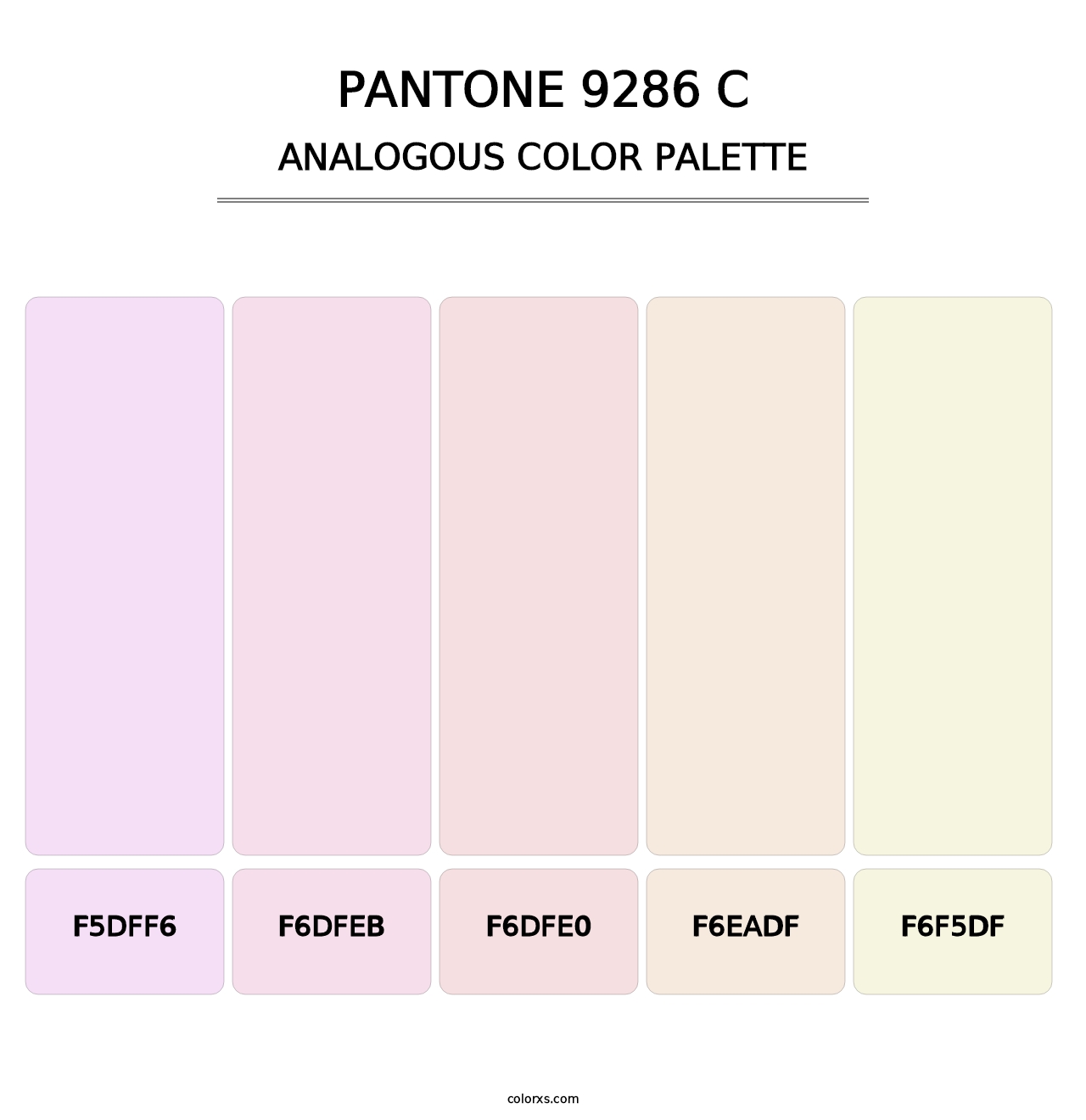 PANTONE 9286 C - Analogous Color Palette