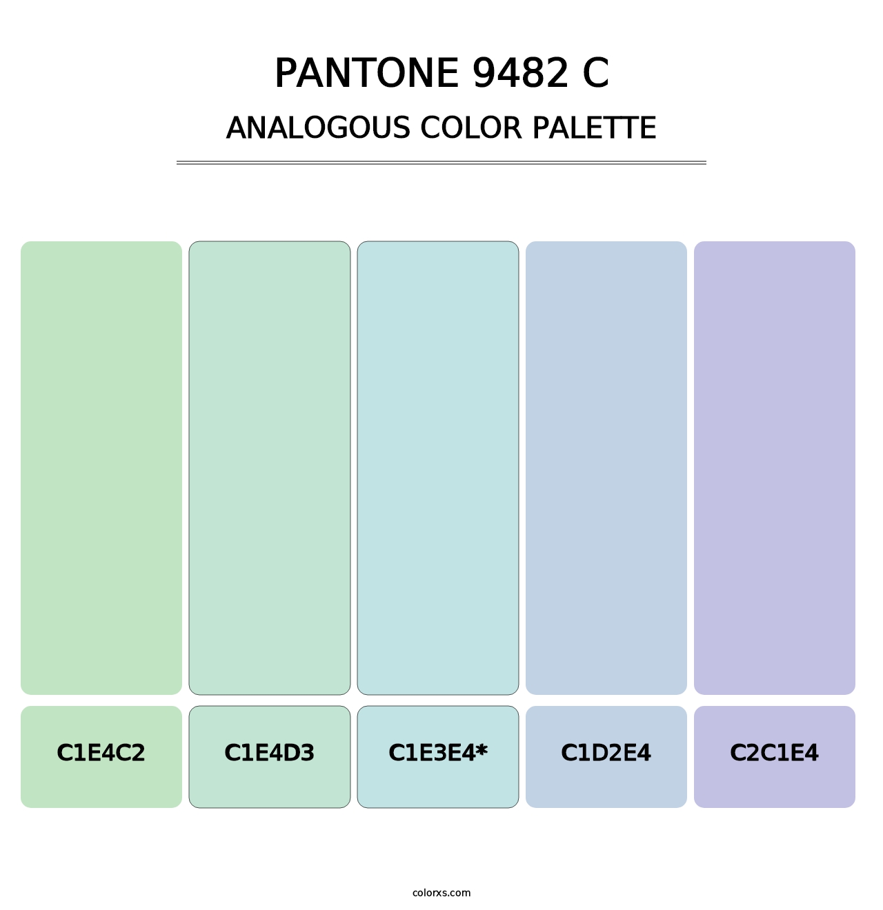 PANTONE 9482 C - Analogous Color Palette