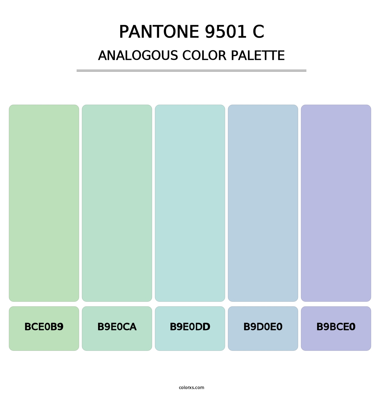 PANTONE 9501 C - Analogous Color Palette