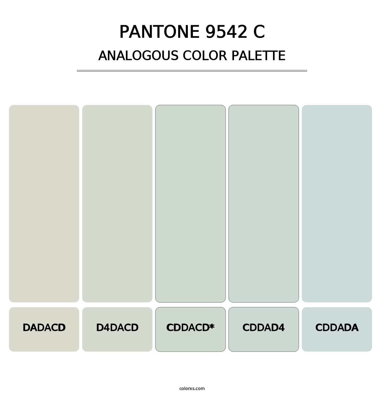 PANTONE 9542 C - Analogous Color Palette