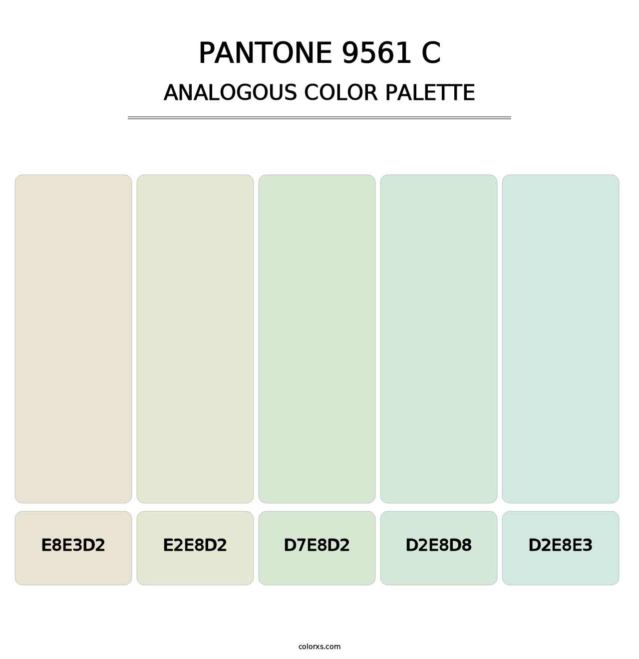 PANTONE 9561 C - Analogous Color Palette