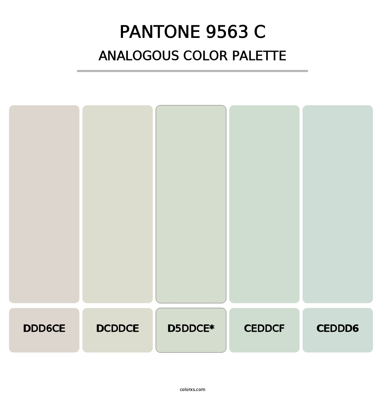 PANTONE 9563 C - Analogous Color Palette