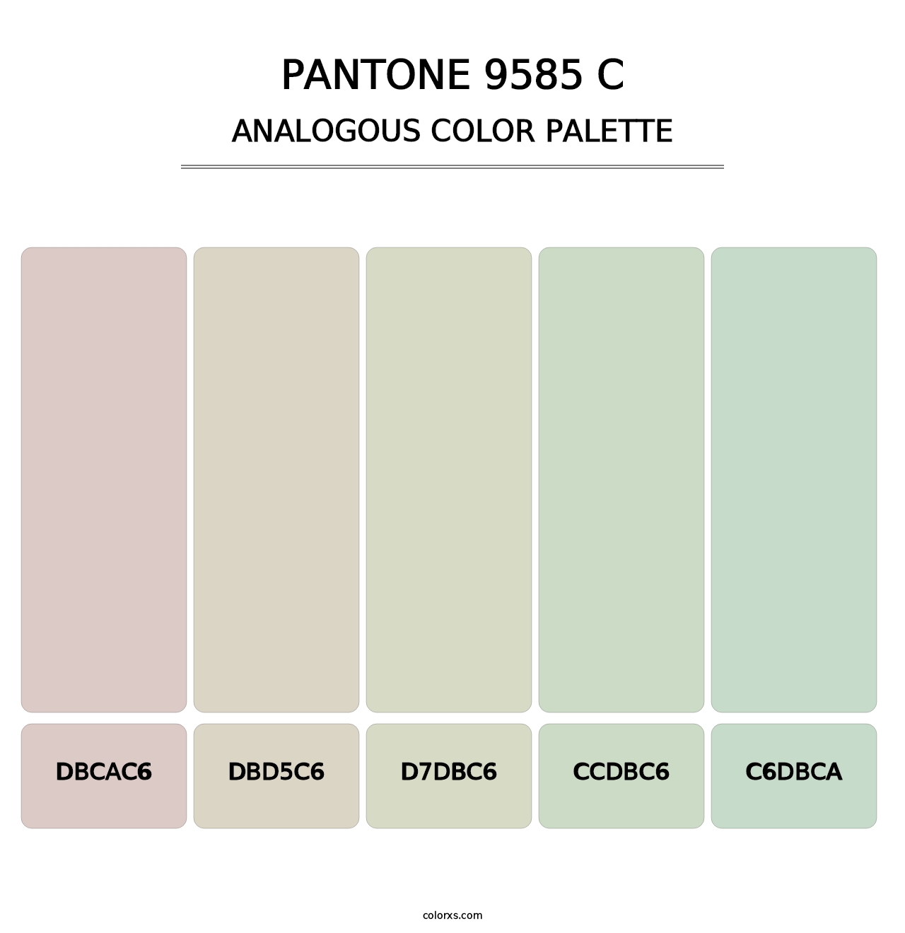 PANTONE 9585 C - Analogous Color Palette