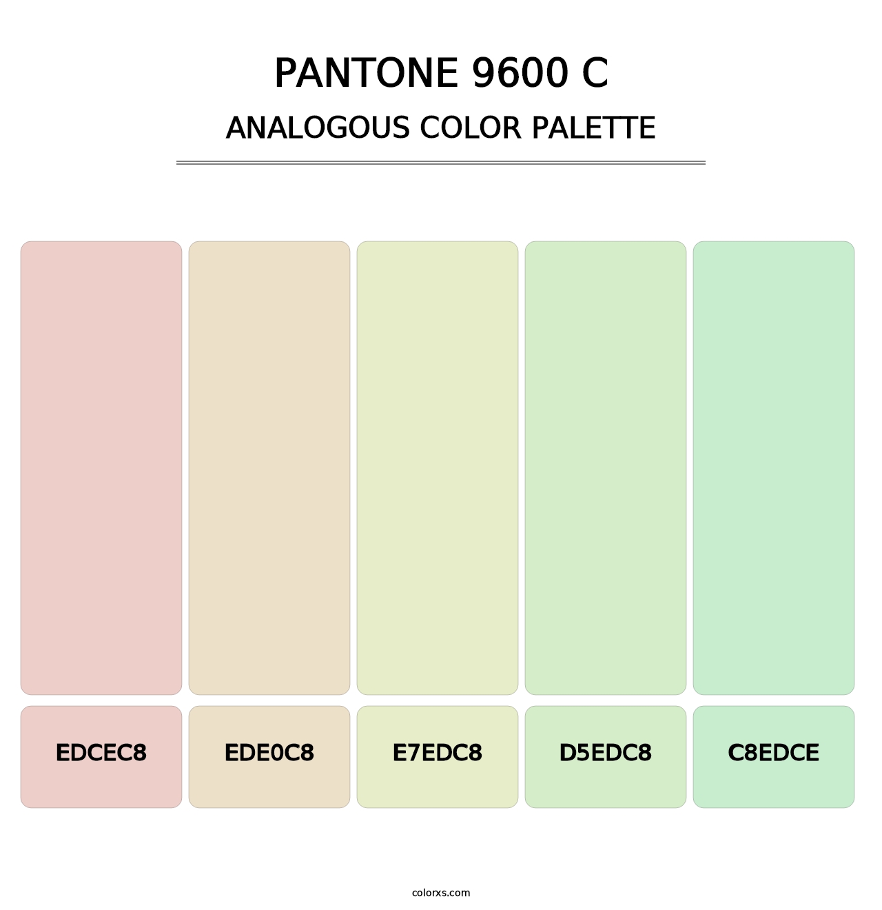 PANTONE 9600 C - Analogous Color Palette