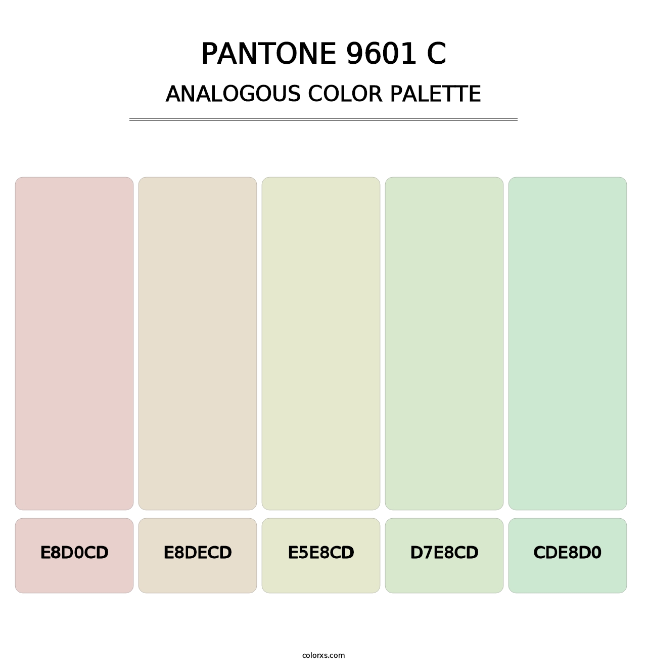 PANTONE 9601 C - Analogous Color Palette