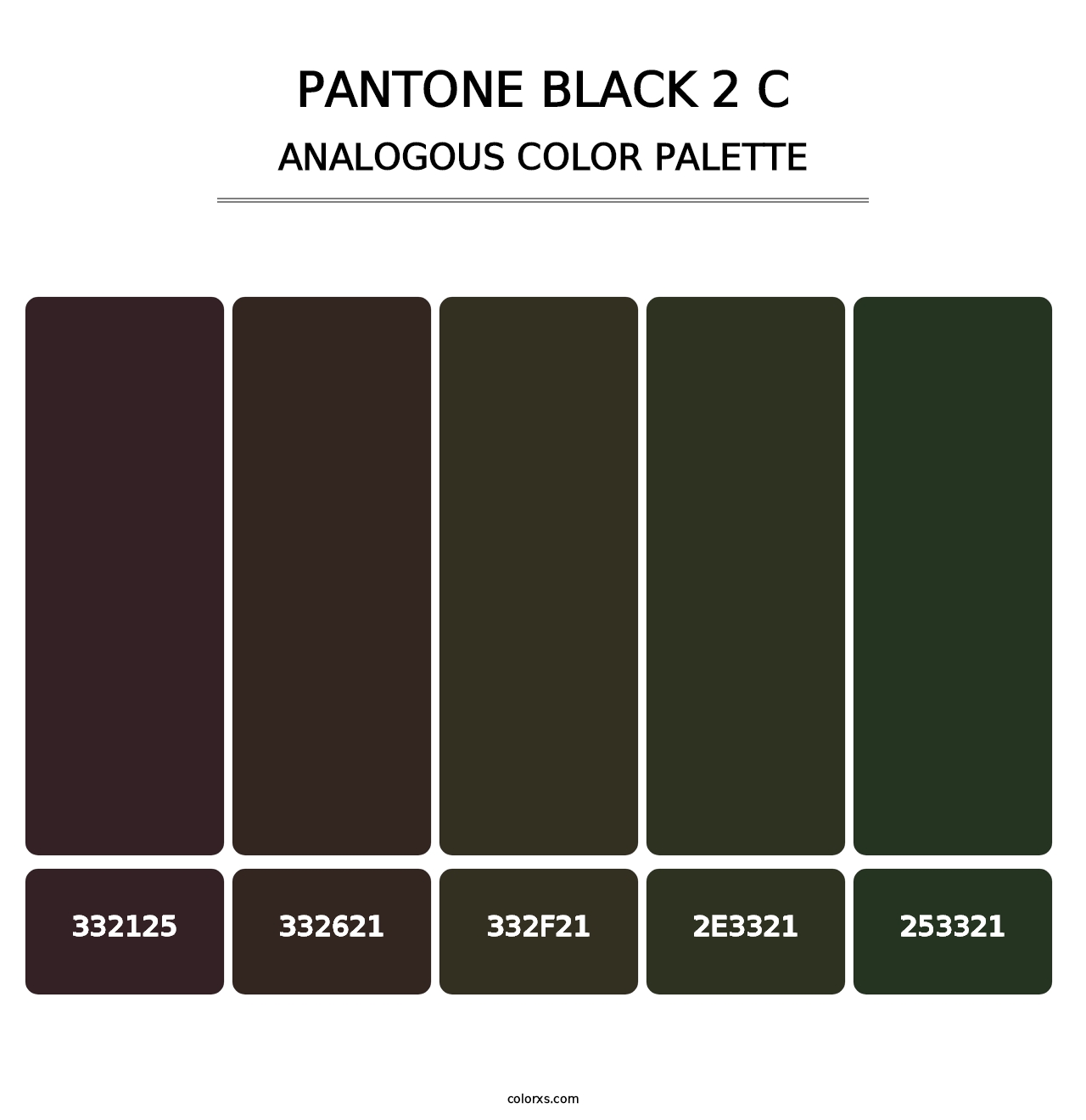 PANTONE Black 2 C - Analogous Color Palette