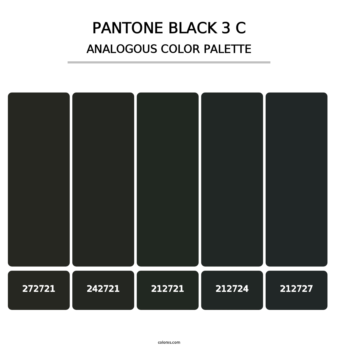 PANTONE Black 3 C - Analogous Color Palette