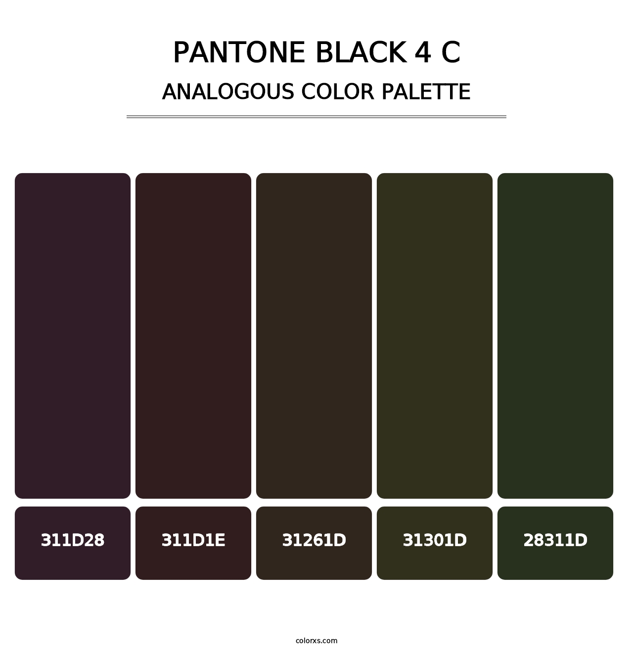 PANTONE Black 4 C - Analogous Color Palette