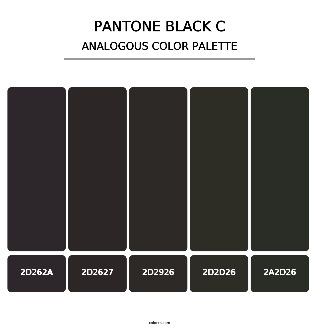 PANTONE Black C - Analogous Color Palette