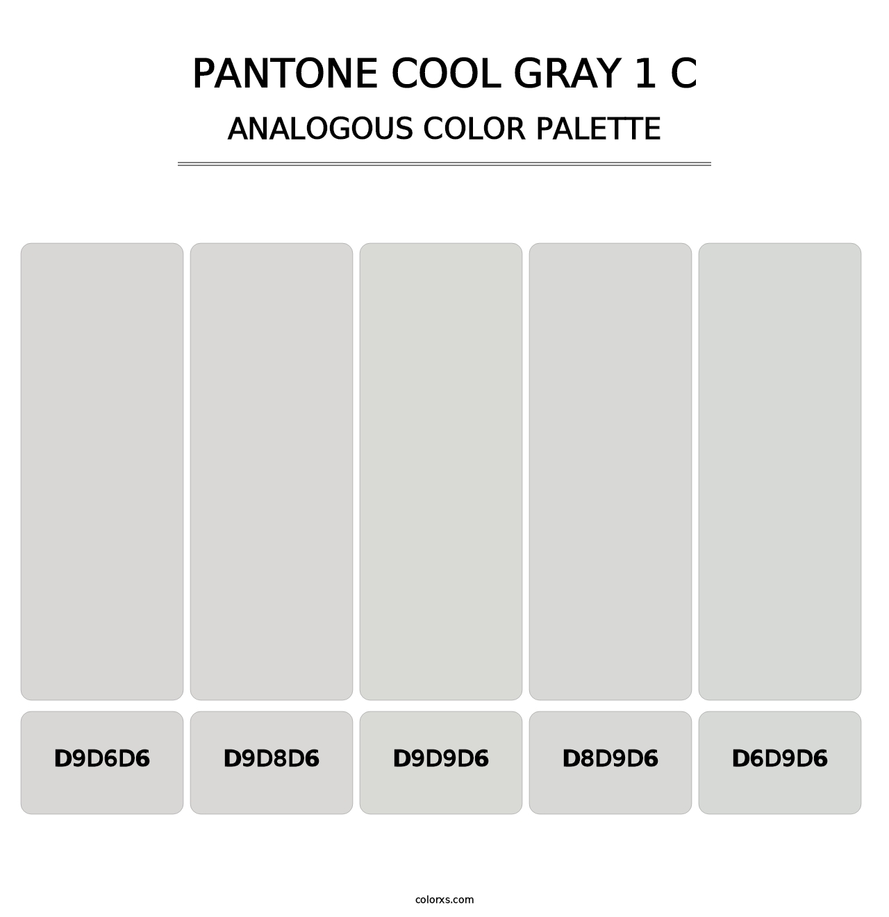 PANTONE Cool Gray 1 C - Analogous Color Palette