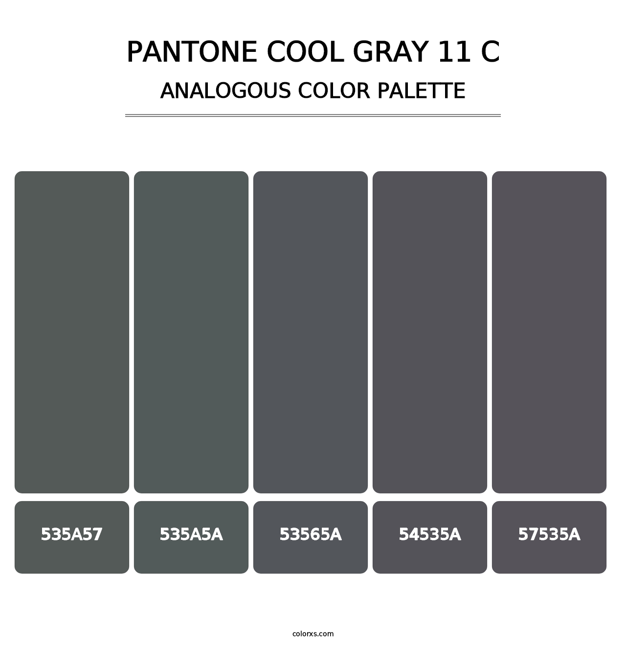 PANTONE Cool Gray 11 C - Analogous Color Palette