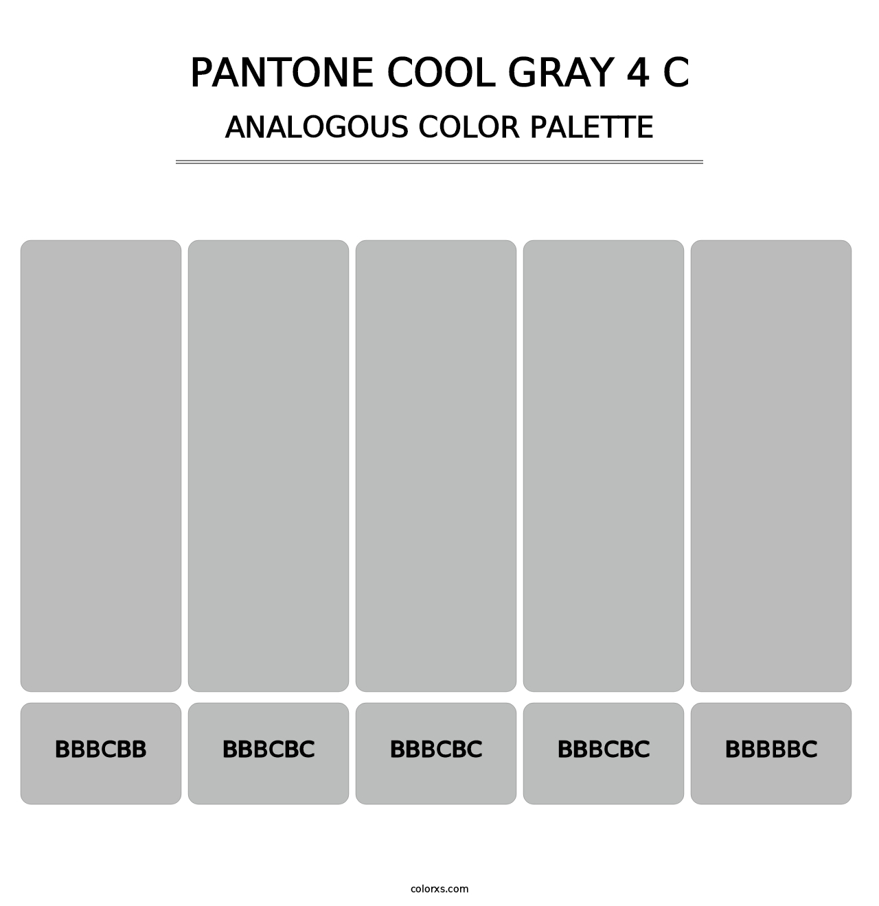 PANTONE Cool Gray 4 C - Analogous Color Palette