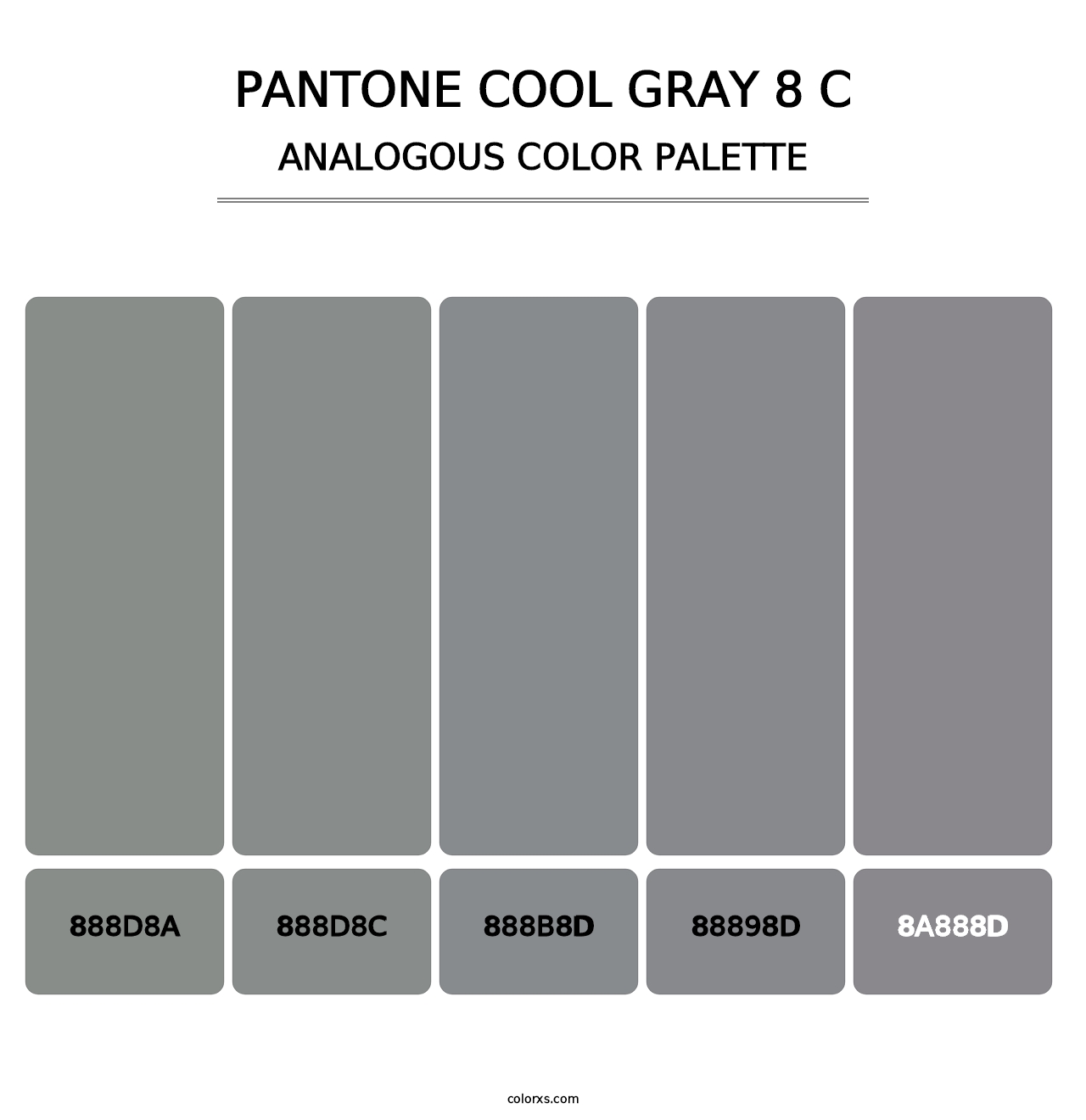PANTONE Cool Gray 8 C - Analogous Color Palette