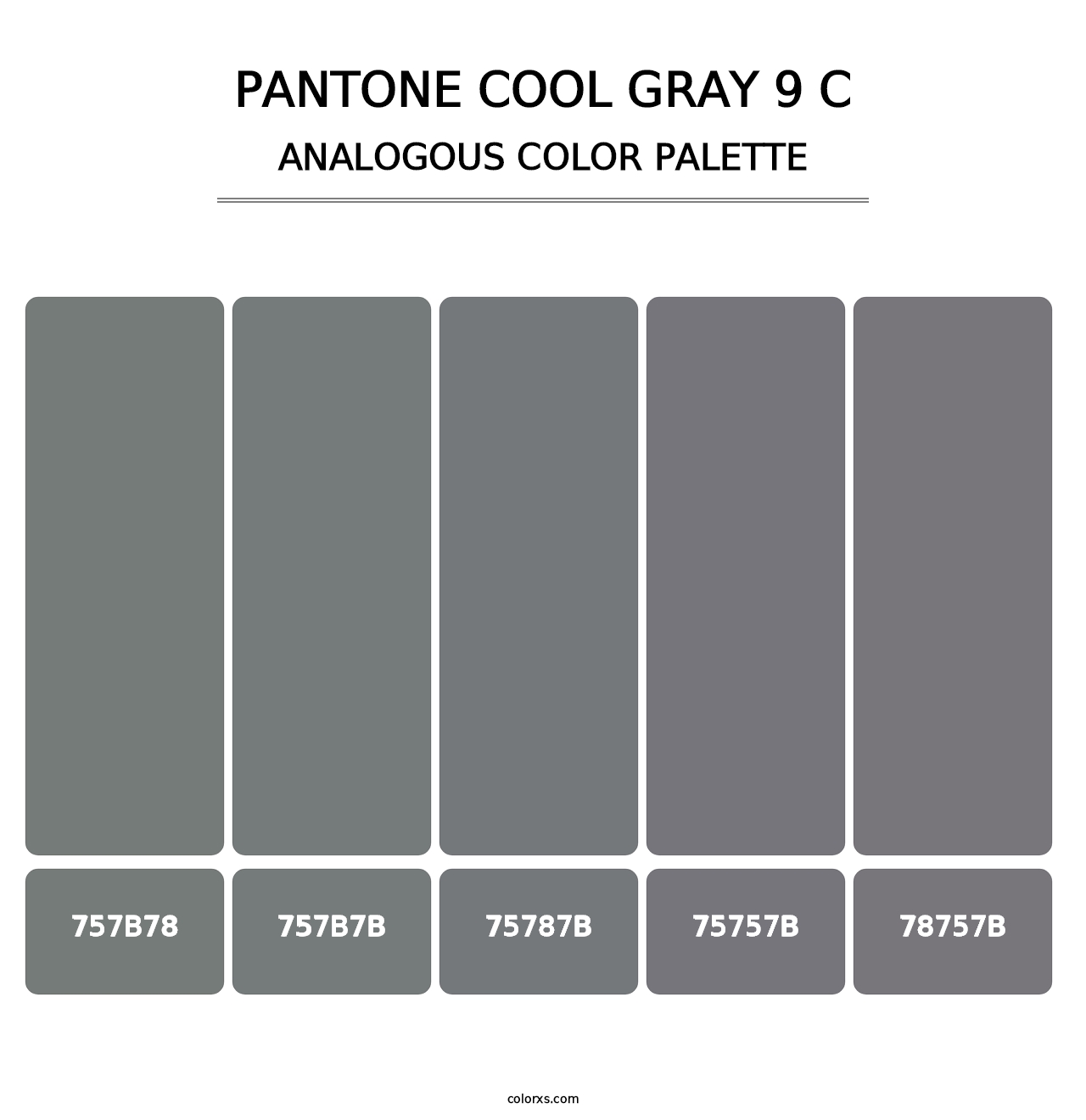 PANTONE Cool Gray 9 C - Analogous Color Palette