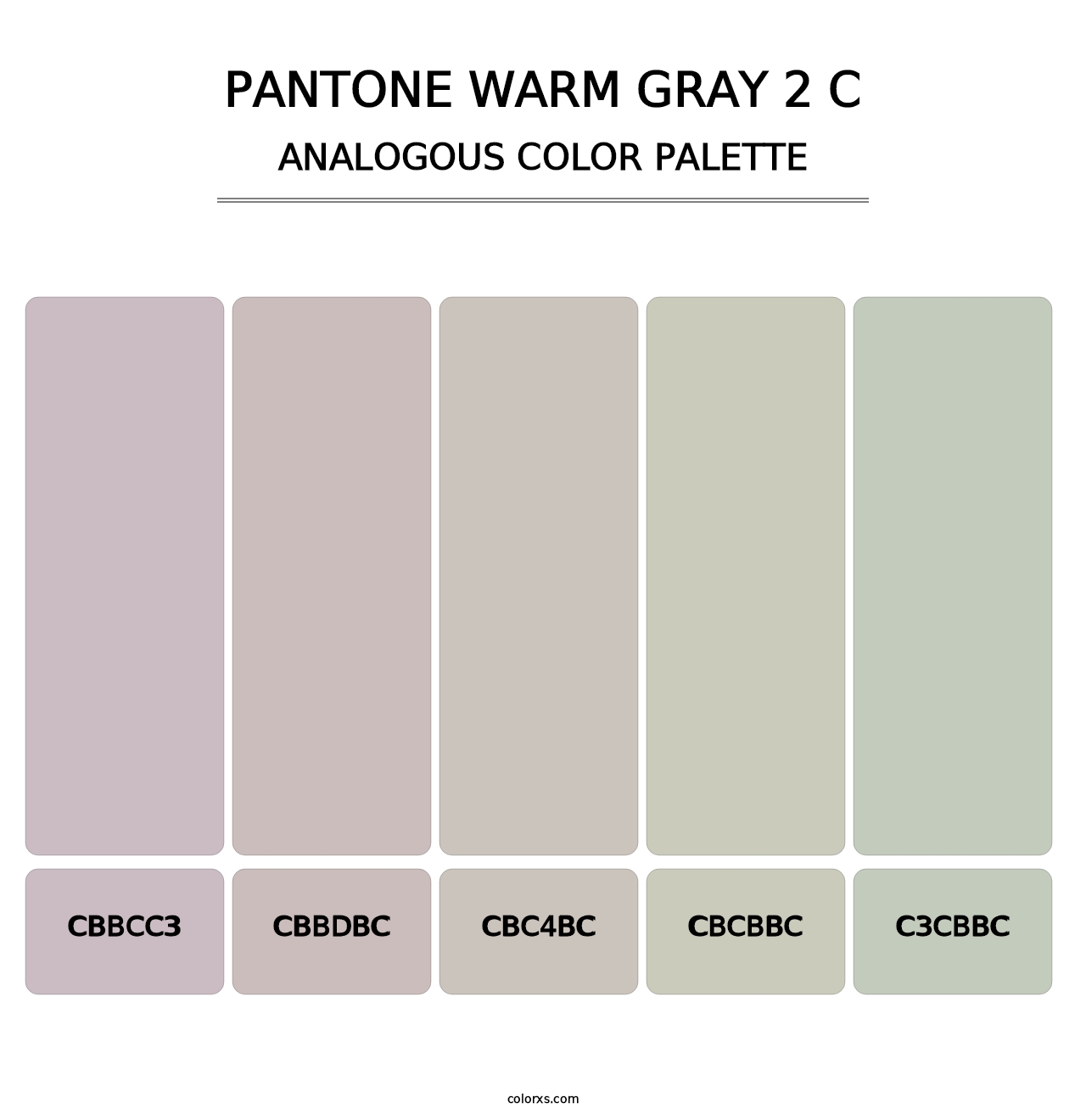 PANTONE Warm Gray 2 C - Analogous Color Palette