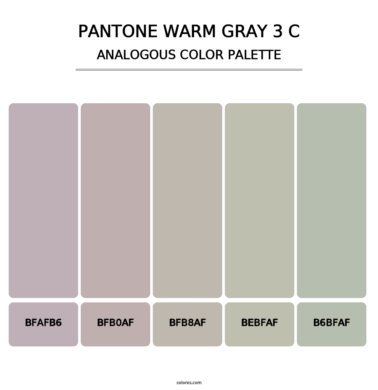 PANTONE Warm Gray 3 C - Analogous Color Palette