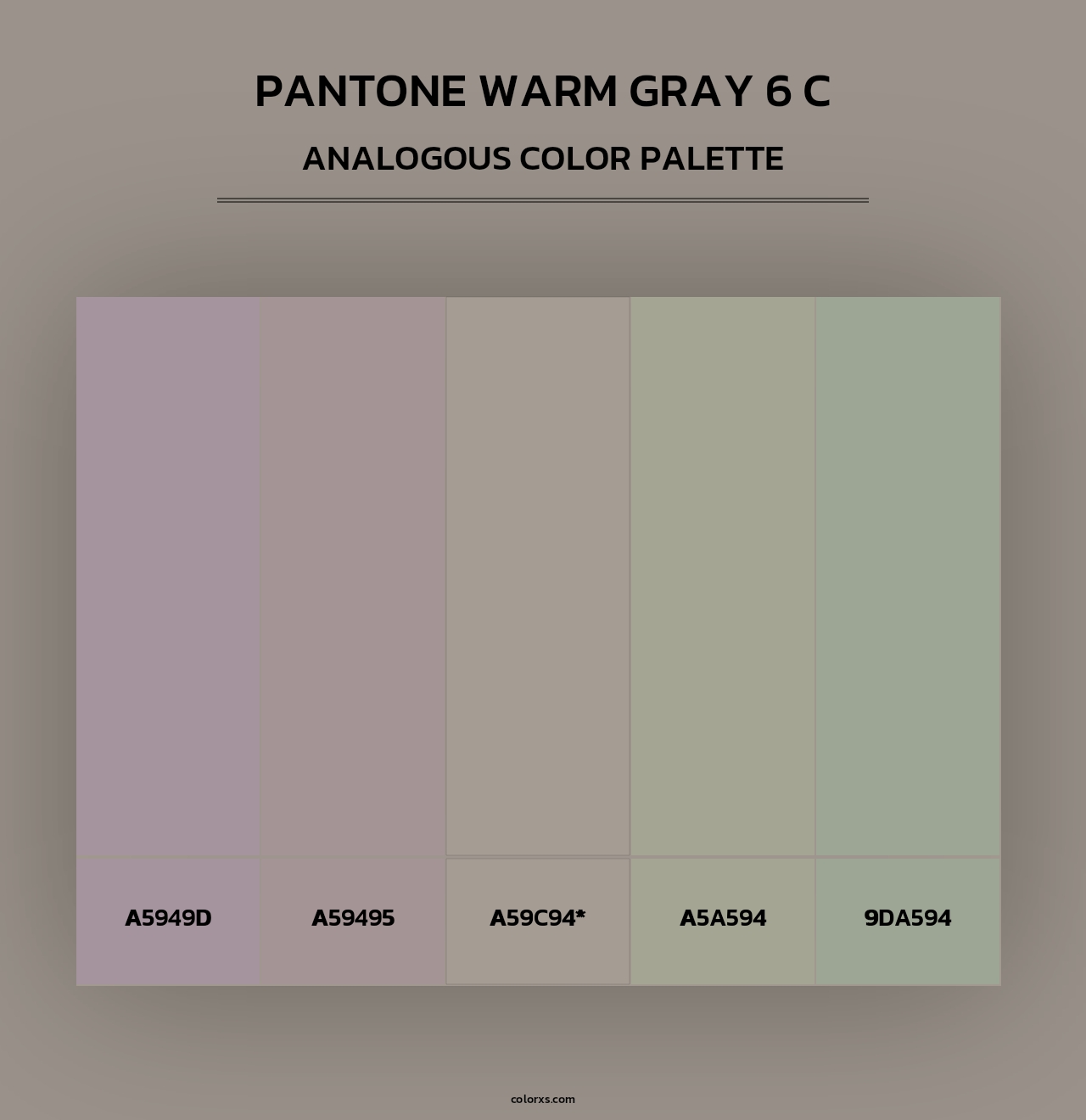 PANTONE Warm Gray 6 C - Analogous Color Palette