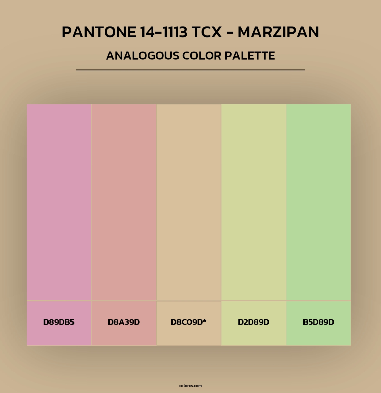 PANTONE 14-1113 TCX - Marzipan - Analogous Color Palette