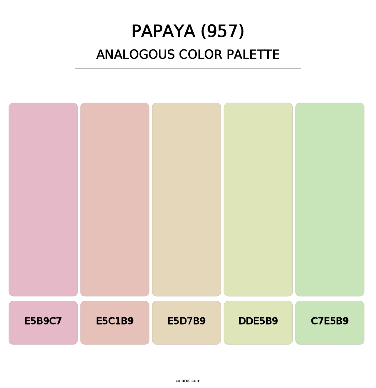 Papaya (957) - Analogous Color Palette