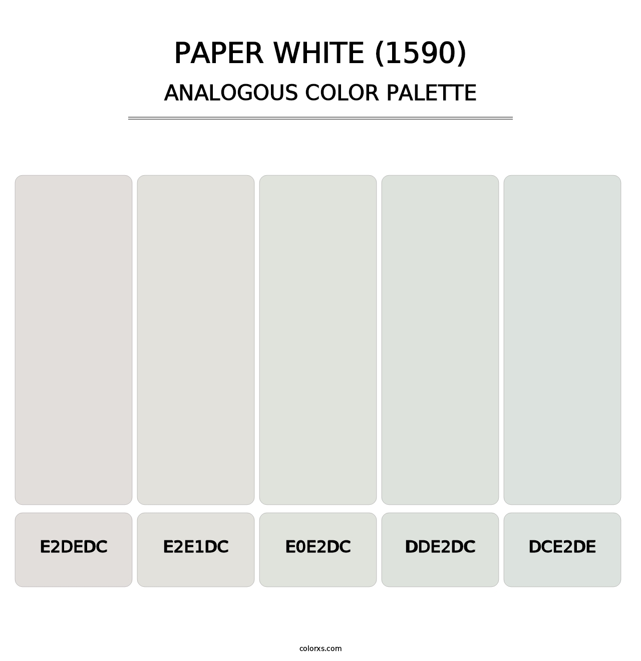 Paper White (1590) - Analogous Color Palette