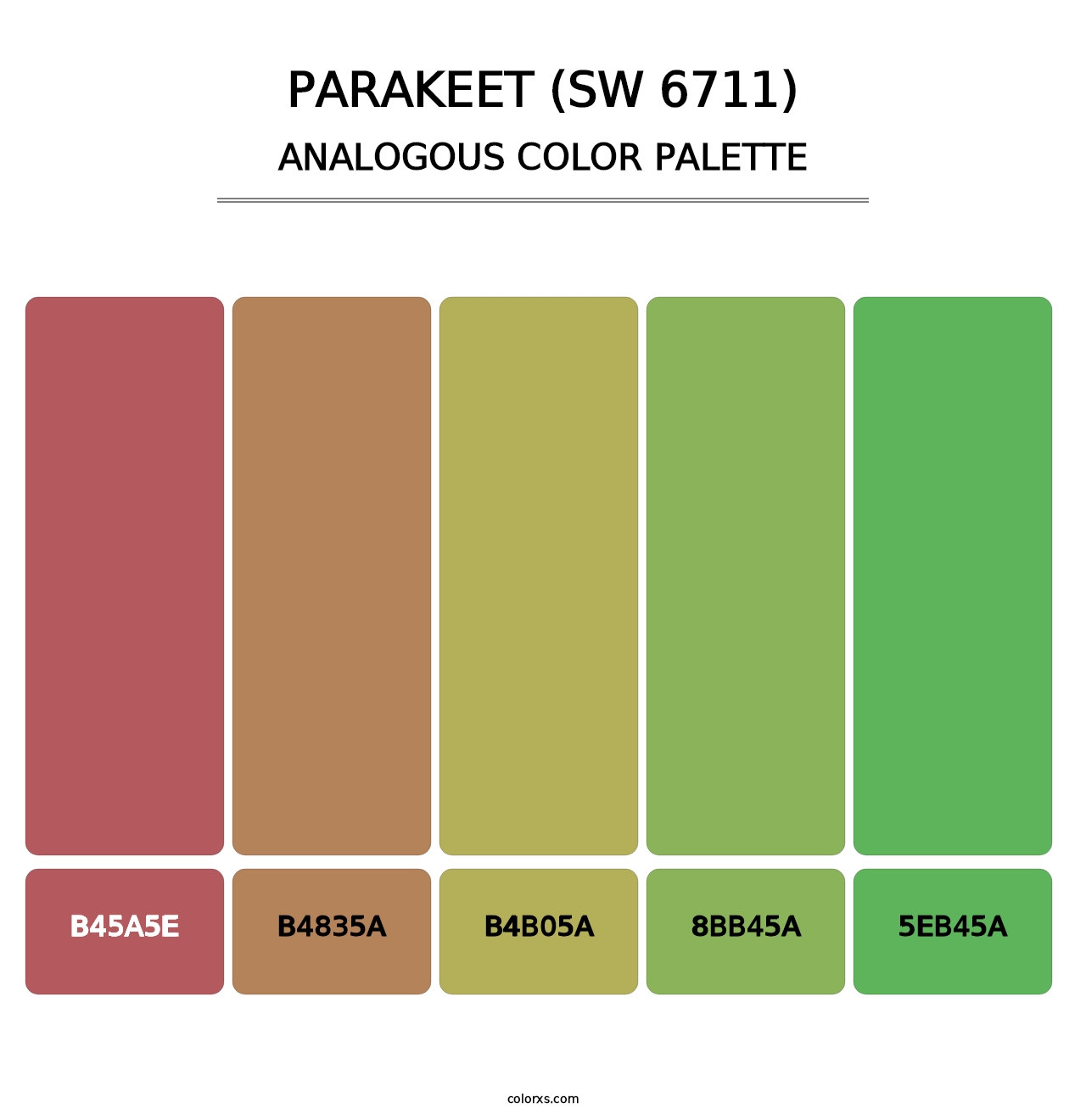 Parakeet (SW 6711) - Analogous Color Palette