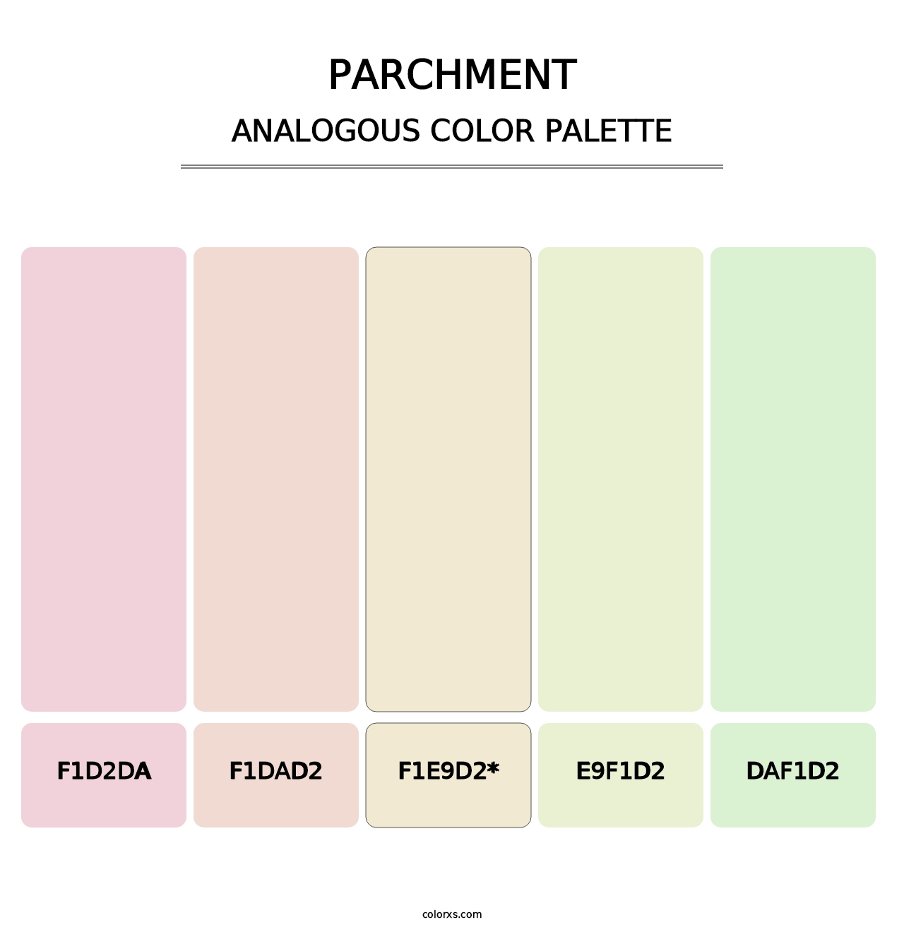 Parchment - Analogous Color Palette