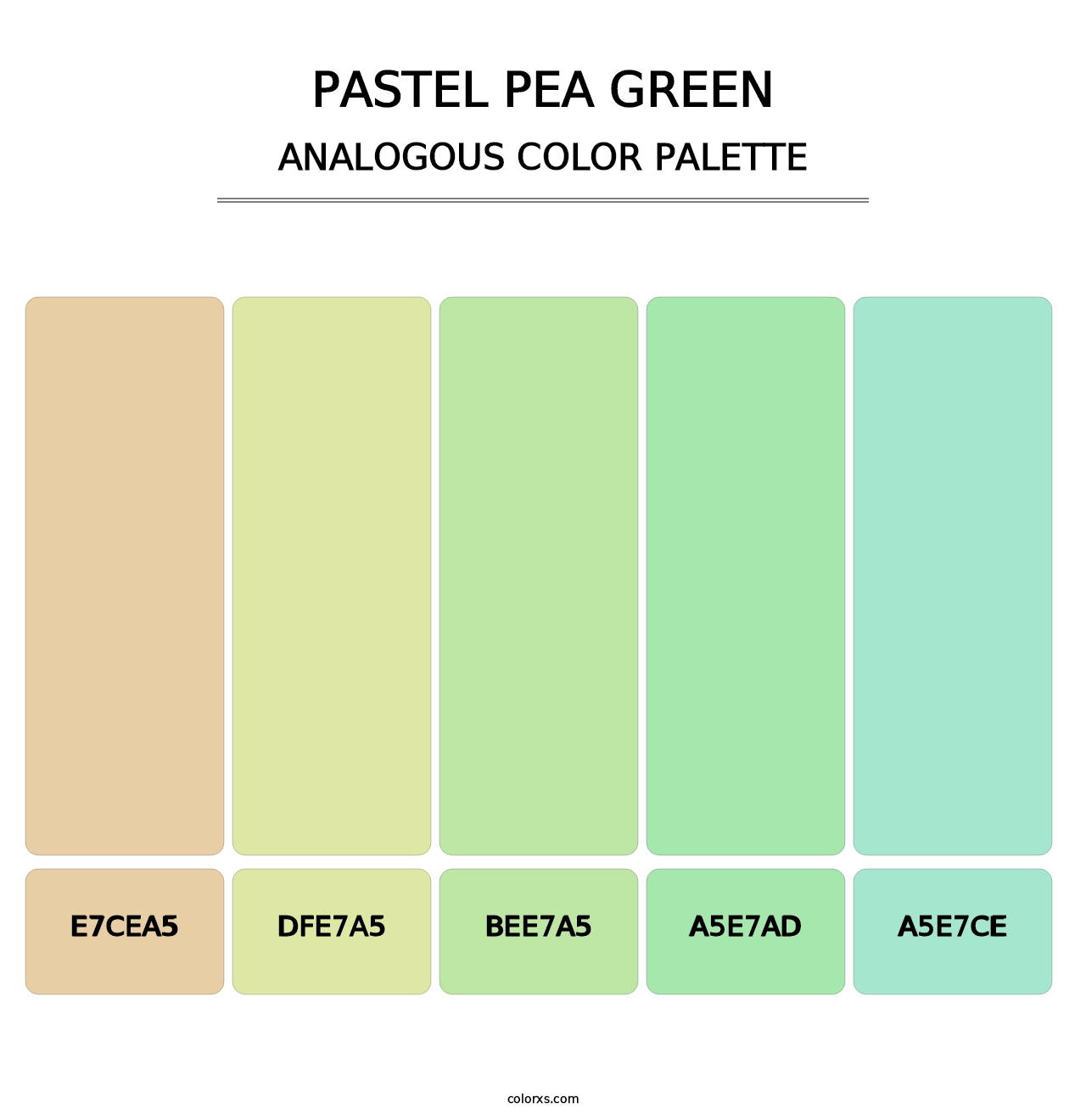Pastel Pea Green - Analogous Color Palette